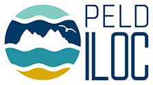 logo peld partners